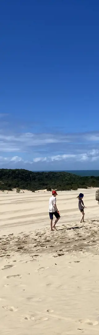 Zum Lake Wabby: Sanddünen und Dingos